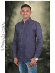 VVE1741  : Padmashali (Telugu)  from  Solapur