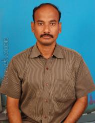 VVE3603  : Kongu Vellala Gounder (Tamil)  from  Karur