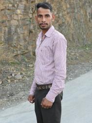 VVF0776  : Rajput (Hindi)  from  Solan