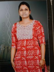 VVF1173  : Brahmin (Marathi)  from  Vadodara