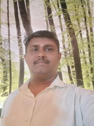 VVF1677  : Gavara (Telugu)  from  Salem (Tamil Nadu)