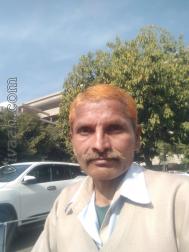 VVF1725  : Chamar (Hindi)  from  Karnal