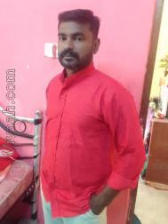 VVF2288  : Adi Dravida (Tamil)  from  Chennai