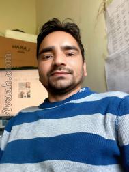 VVF2368  : Brahmin (Hindi)  from  Mandi