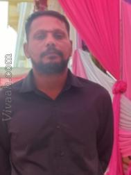 VVF2577  : Brahmin Tamil (Tamil)  from  Chennai