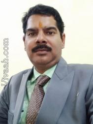 VVF2946  : Kayastha (Hindi)  from  Allahabad
