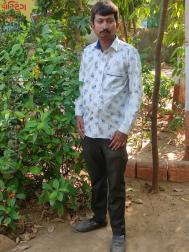 VVF3345  : Valand (Gujarati)  from  Ahmedabad