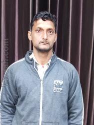 VVF3482  : Saini (Hindi)  from  Yamuna Nagar