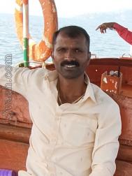 VVF3492  : Dhangar (Marathi)  from  Satara