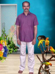 VVF3913  : Kuruba (Tamil)  from  Dindigul