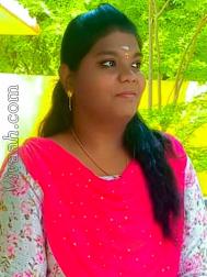 VVF3967  : Pillai (Tamil)  from  Madurai