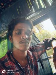 VVF4177  : Kongu Vellala Gounder (Tamil)  from  Krishnagiri