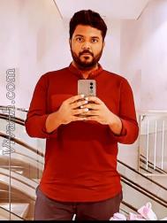 VVF4224  : Mudaliar Saiva (Tamil)  from  Chennai