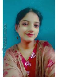 VVF6539  : Ansari (Urdu)  from  Malegaon