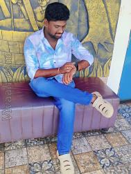 VVF6660  : Reddy (Telugu)  from  Machilipatnam