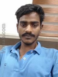 VVF6707  : Malla (Bihari)  from  Madhubani