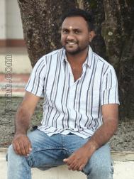 VVF6842  : Gavara (Telugu)  from  Erode