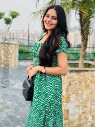 VVF7128  : Brahmin (Punjabi)  from  Jersey City