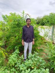 VVF7208  : Parkava Kulam (Tamil)  from  Tiruchirappalli