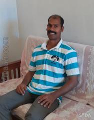 VVF7281  : Jacobite (Malayalam)  from  Al Ahmadi