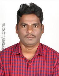 VVF7305  : Vanniyakullak Kshatriya (Tamil)  from  Chennai
