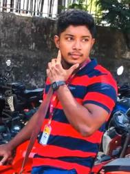 VVF7872  : Chettiar (Tamil)  from  Trincomalee