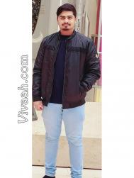 VVF8161  : Muthuraja (Telugu)  from  Chennai