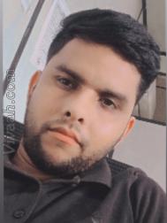 VVF8267  : Brahmin (Hindi)  from  Firozabad