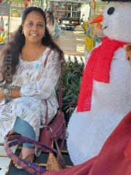 VVF8311  : Adi Dravida (Tamil)  from  Chennai