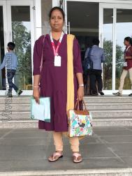 VVF8311  : Adi Dravida (Tamil)  from  Chennai