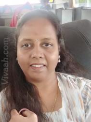 VVF8311  : Adi Dravida (Tamil)  from  Chennai