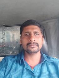 VVF8573  : Lingayat (Kannada)  from  Kodagu