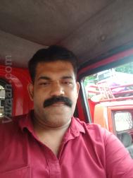 VVF9129  : Mapila (Malayalam)  from  Kozhikode
