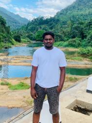 VVF9538  : Vellalar (Tamil)  from  Jaffna