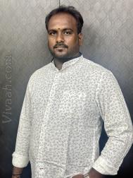 VVF9622  : Gavara (Tamil)  from  Villupuram