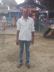 VVF9897  : Vellalar (Tamil)  from  Erode