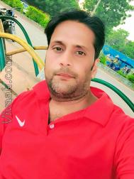 VVG0946  : Brahmin (Hindi)  from  Bilaspur