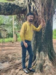 VVG2276  : Brahmin (Oriya)  from  Balangir