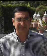 VVG2660  : Arora (Himachali/ Pahari)  from  Hicksville