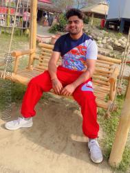 VVG3509  : Nai (Punjabi)  from  Chandigarh