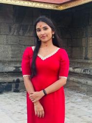 VVG3829  : Dheevara (Malayalam)  from  Kollam