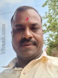 VVG3991  : Kshatriya (Hindi)  from  Katni