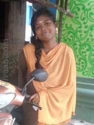 VVG4456  : Vellalar (Tamil)  from  Chennai