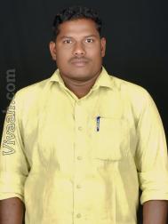 VVG4615  : Adi Dravida (Tamil)  from  Perambalur