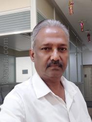 VVG5225  : Kayastha (Hindi)  from  Mumbai