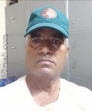 VVG5263  : Meghwal (Hindi)  from  Sikar