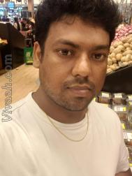 VVG5668  : Gavara (Tamil)  from  Coimbatore