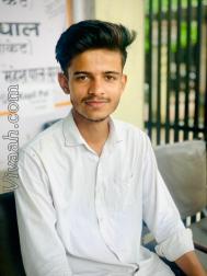 VVG6113  : Pal (Hindi)  from  Noida