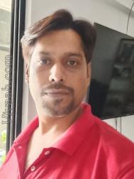 VVG6269  : Nai (Hindi)  from  Navi Mumbai