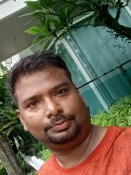 VVG6515  : Kayastha (Bengali)  from  Kolkata